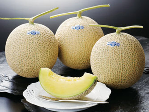 D クラウン印マスクメロン 静岡県